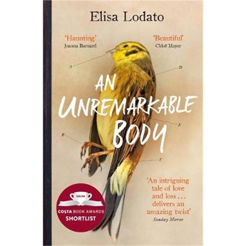 An Unremarkable Body (Paperback) - Elisa Lodato